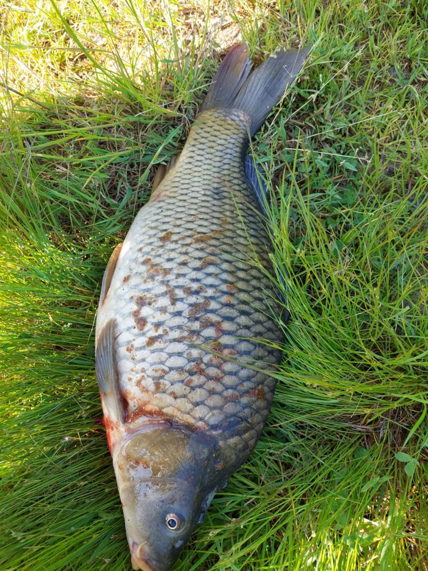 Ubytovani Na Lipne Černá v Pošumaví Exterior foto